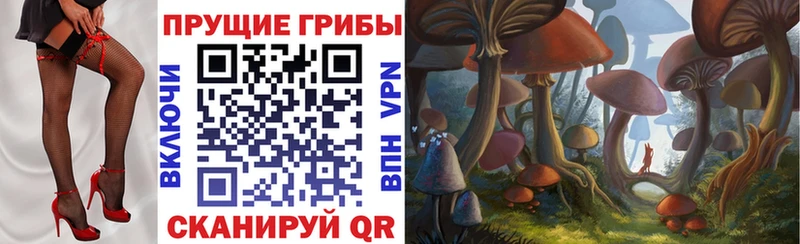 KRAKEN ссылки  Удомля  Галлюциногенные грибы Cubensis 
